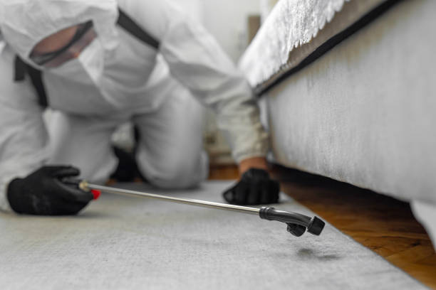 Professional Ant Control technician working in Broome County County, NY
